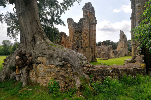 Bayham-Old-Abbey-(2)_DxO.jpg