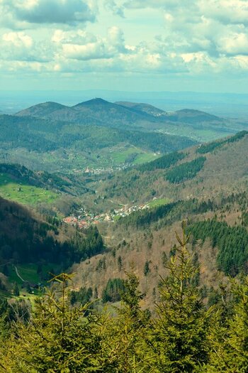 Schwarzwald D800E Tam 70 DSC_0379 klein.jpg