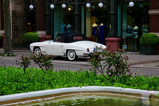 DSC_3767_1.jpg