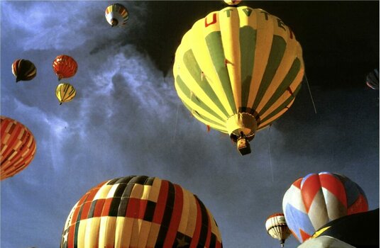 Bunte Heißluftballons am Himmel, von unten fotografiert