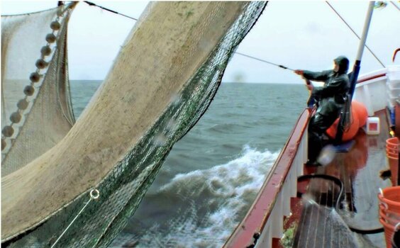 Krabbenfang mit dem Kutter auf der Nordsee
