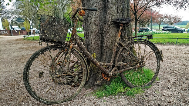 Stadtpark_Fahrrad_DxO.jpg
