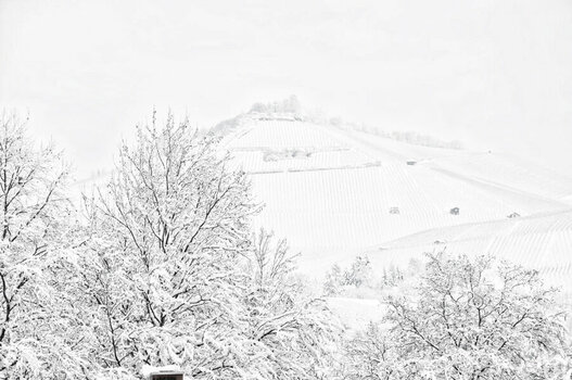 Scheuerberg im Schnee.jpg