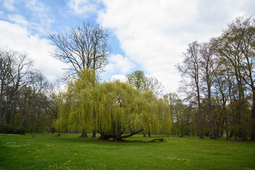 750_3052.jpg