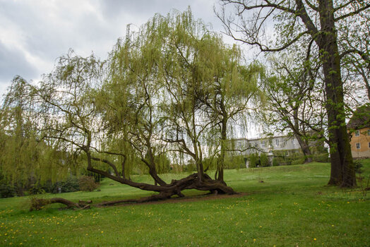 750_3055.jpg