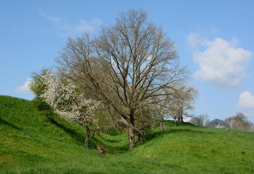 DSC_1198_00001 (2)n.jpg