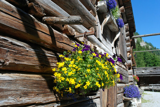 DSC_0590_DxO.jpg