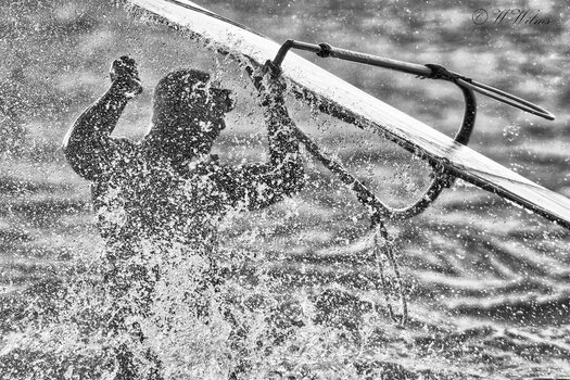 DSC_8607_DxO - Kopie_DxO - Kopie.jpg