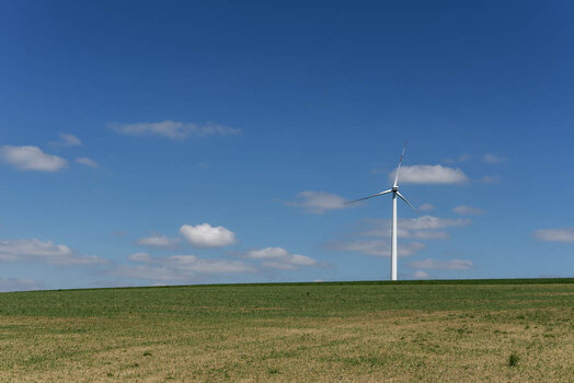 750_3181_DxO.jpg