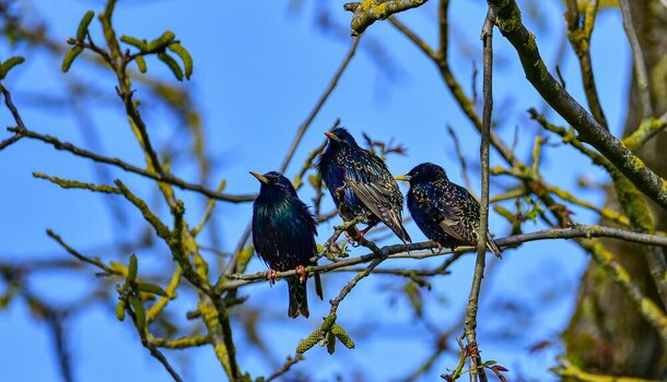 comp_DSC_3914.jpg