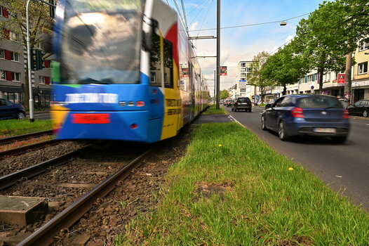 zisch-1200.JPG