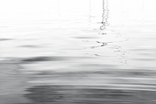 20230504_110312_nf.JPG