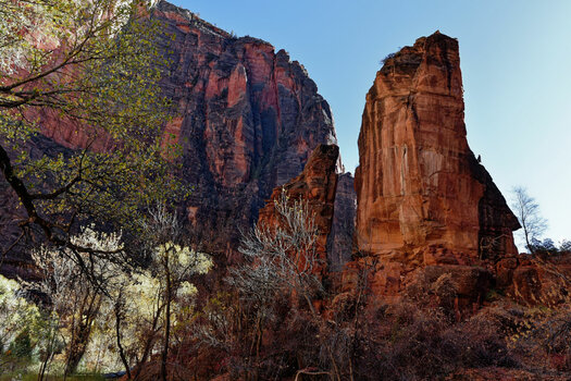 Zion-National-Park-5_DxO-3.jpg