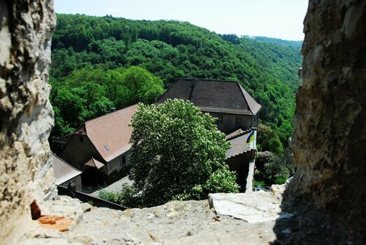 2023-05-07_09-22-59.jpg