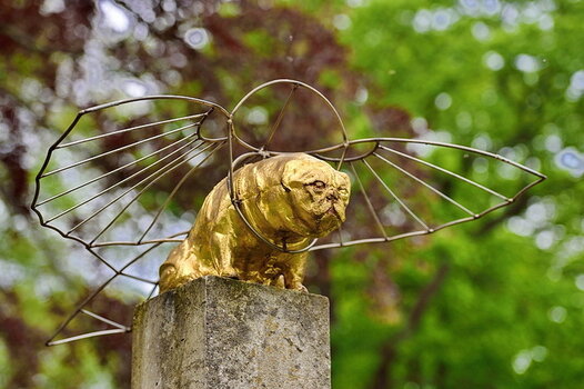 DSC_9648_klein_bearb1.jpg