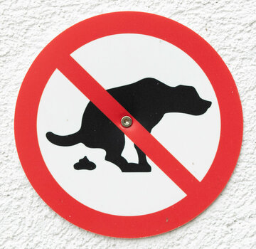 Hund.jpg