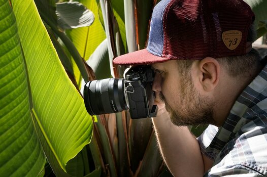 Mann macht Nahaufnahme von der Struktur eines grünen Palmenblattes mit einer Fujufilm-Kamera und dem Objektiv TAMRON 11-20mm F/2.8 Di III-A RXD Mann macht Nahaufnahme von der Struktur eines grünen Palmenblattes mit einer Fujufilm-Kamera und dem Objektiv TAMRON 11-20mm F/2.8 Di III-A RXD