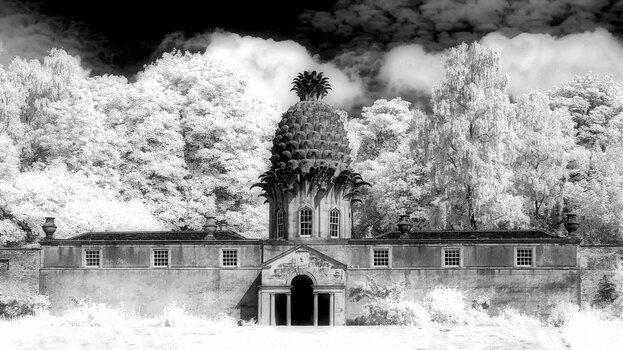 Dunmore-Park-Pineapple.jpg
