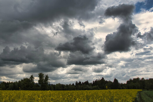 ROB_8583 Wetter April.jpg