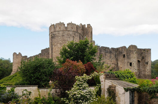 Chepstow-Castle-(1)_DxO.jpg