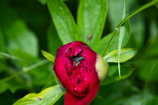 comp_DSC_4126.jpg