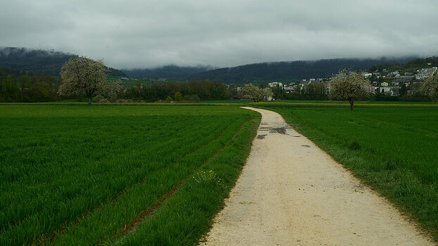 Nikkor_DSC2566.jpg