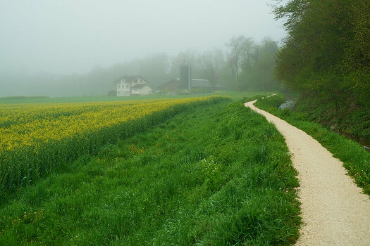 Nikkor_DSC2655.jpg