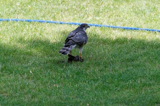 DSC_005079.jpg