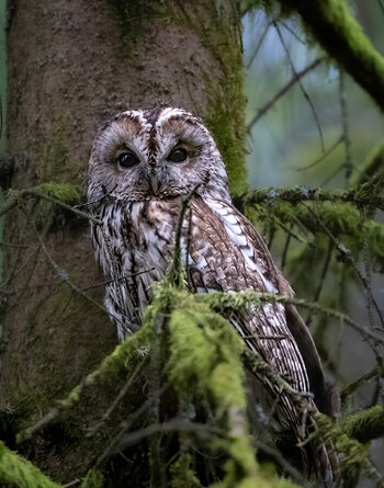 1200WLD_8243-Bearbeitet.jpg