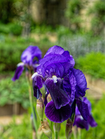 750_3550_DxO.jpg