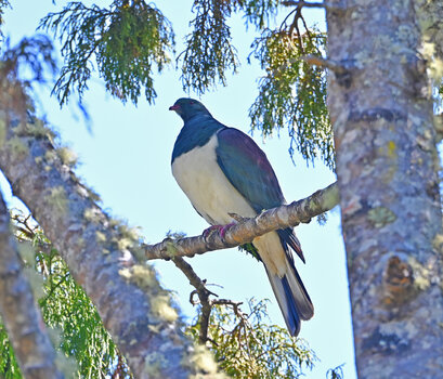 DSC_6982ms.jpg