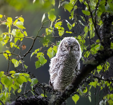 1200WLD_8457-Bearbeitet.jpg
