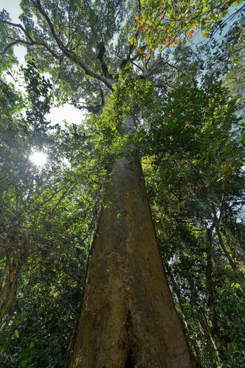 DSC_6456_DxO.jpg