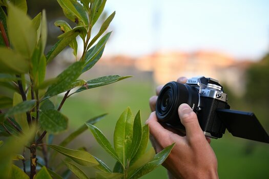 NIKKOR Z DX 24 mm f/1,7  an Nikon Zfc