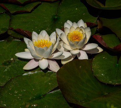 750_4105.jpg