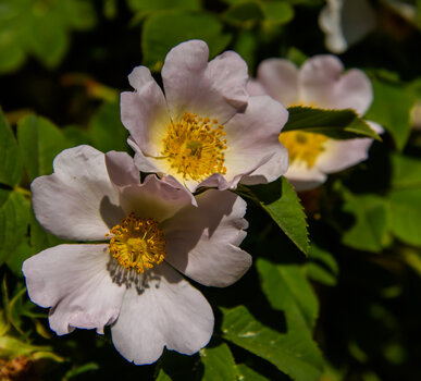 750_4123-Bearbeitet.jpg