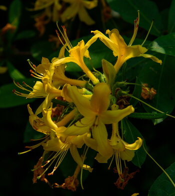 750_4163.jpg
