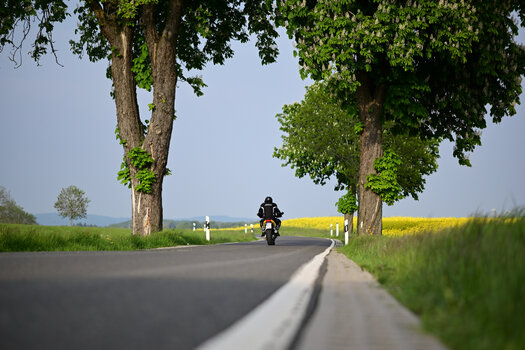 Sigma 56mm 008.JPG