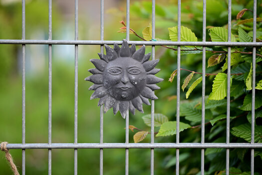 Sigma 56mm 009.JPG