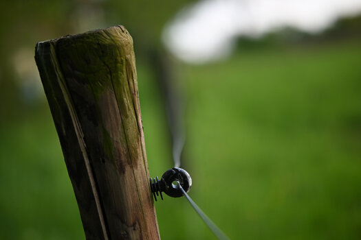 sigma 56mm 018.JPG