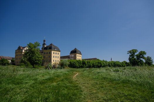 750_4074.jpg