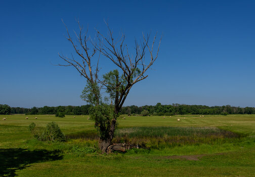750_4182.jpg