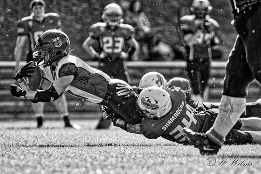 DSC_7167_DxO.jpg