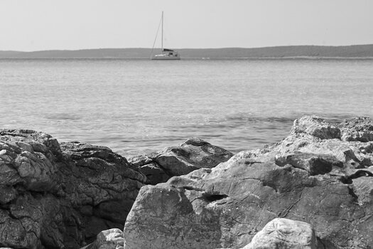 20230530_101210bw_nf.jpg