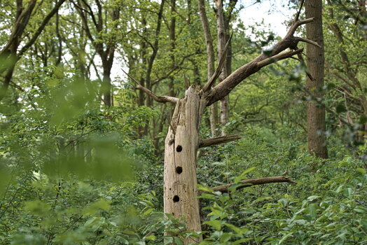 DFX_1367.jpg