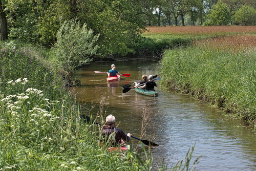 DFX_1638.jpg