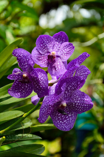 DSC_1626_DxO.jpg