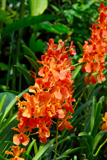 DSC_1622_DxO.jpg