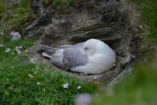 DSC_4118_DxO.jpg