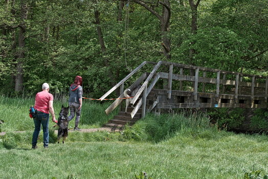 DFX_1374.jpg